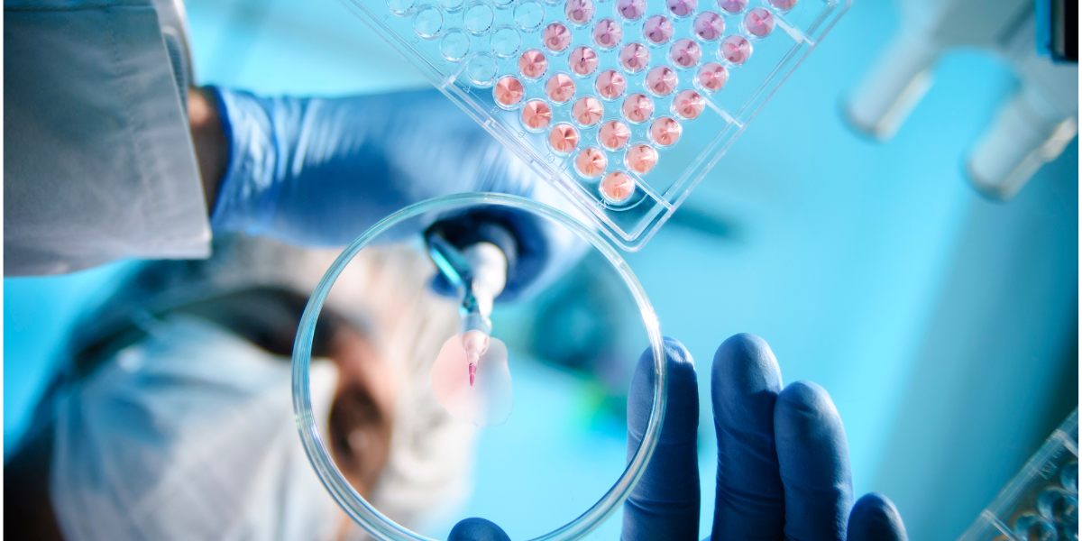 microbiologisch analist aan het werk met petrischaaltjes